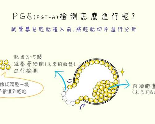 国内私立的供卵机构排名,三代试管**之前做过胸部X光检查对您的健康有影响吗？