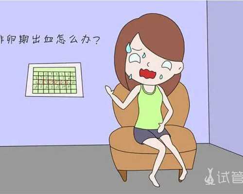 国内最好的供卵机构排名,广州试管借卵**几率大吗