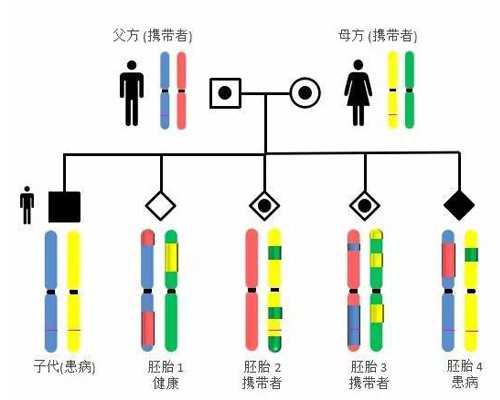 国内私立供卵医院排名前十,试管查什么项目，试管主要看什么检查结果